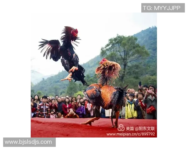 温溪一小足球比赛精彩视频直播全程回顾与精彩瞬间分享